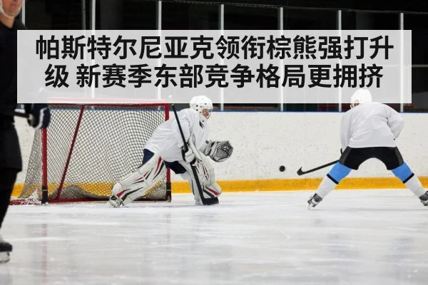 ice hockey players competing