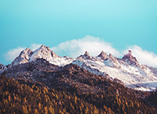 足球史梦之队评选结果揭晓：贝利、马拉多纳领衔